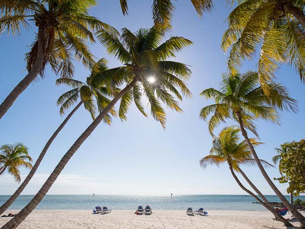 The beach, lounge chairs, and palm trees.