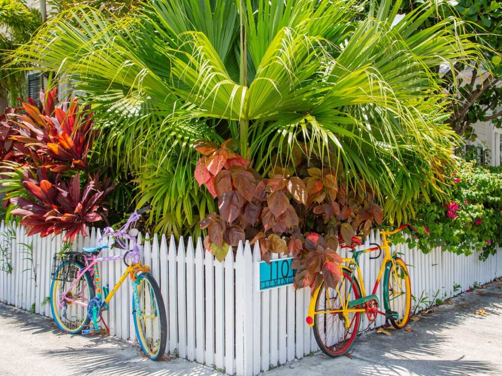 Bikes Next To A White Fence.
