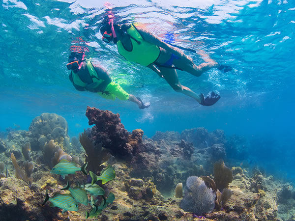 Couple snorkeling