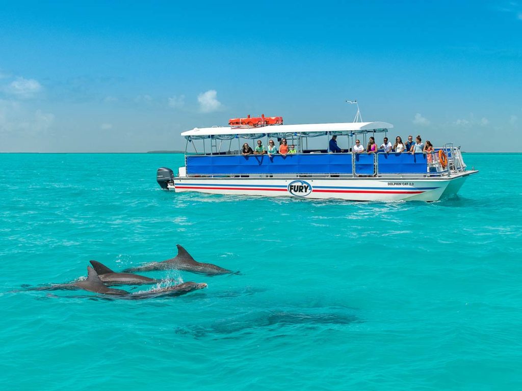 Fury boat watching dolphins.