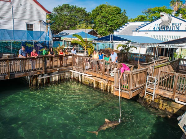 Key West Aquarium.