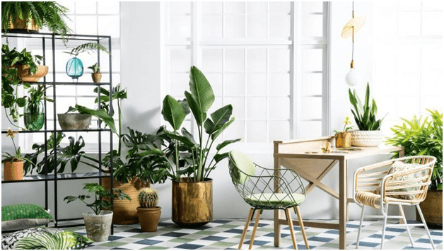 5 Easy Ways To Make Your Lovely Indoor Green Emporium