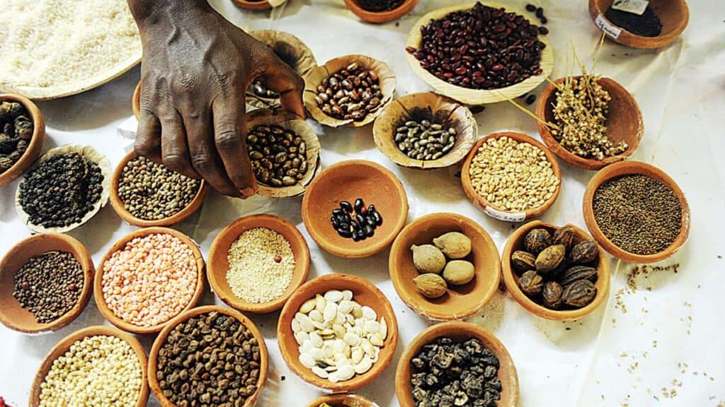 Incredible Kerala - Spices